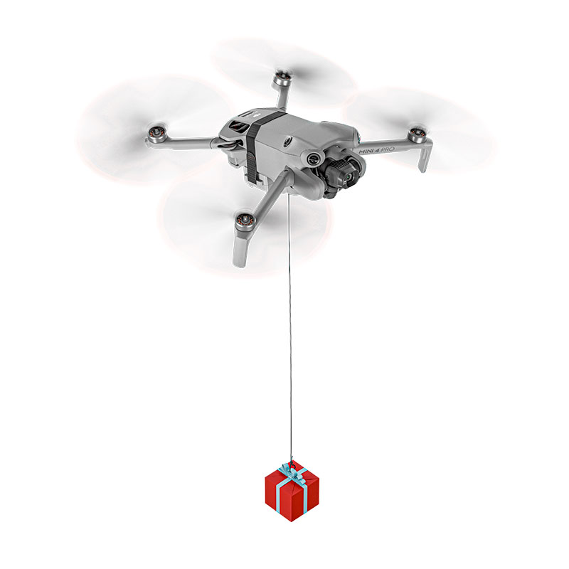 Custodia Rigida EVA Per DJI Mini 4 Pro / Mini 3 Pro / Mini 3, Borsa Da Trasporto Impermeabile Con Tracolla, Capiente Per Accessori Fly More Combo